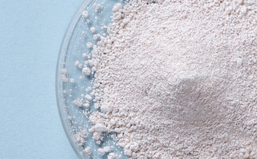 ショウロックスの写真